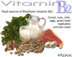 riboflavin-B2-dietary-sources