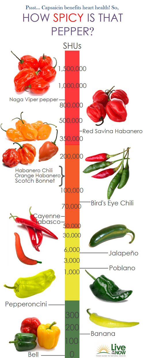 Hotness Of Peppers Chart